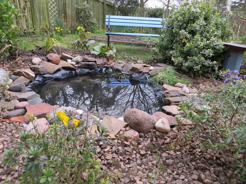 best pond liner for wildlife pond